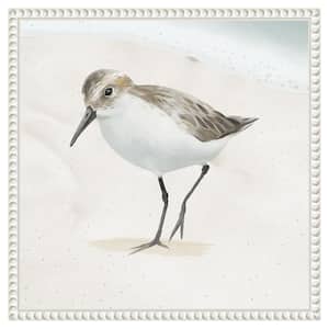 Sandpiper on the Beach II by Lucca Sheppard 1-Piece Floater Frame Giclee Animal Canvas Art Print 16 in. x 16 in.