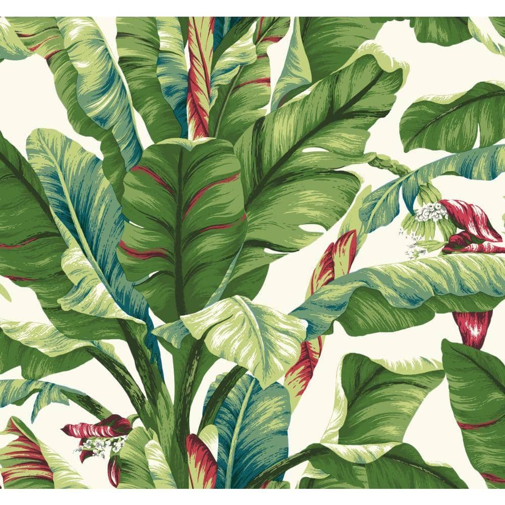 Tropics Banana Leaf Spray and Stick Roll Wallpaper (Covers 60.75 sq. ft.) price history on PriceWatchPro