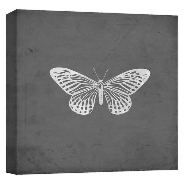 PTM Images ''Pale Monarch II'' Canvas Abstract Wall Art 15 in. x 15 in.
