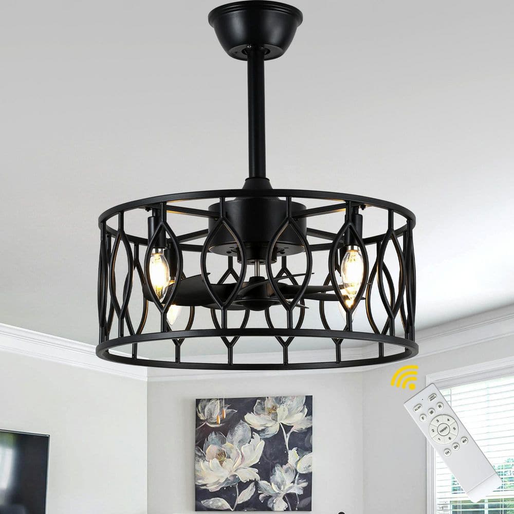 19 in. Black Bladeless Caged Ceiling Fan with Lights and Remote, Farmhouse Ceiling Fan with Down Rod price history on PriceWatchPro