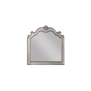 43 in. W x 45 in. H Antique Champagne Dresser Mirror Mounts To Dresser With Frame