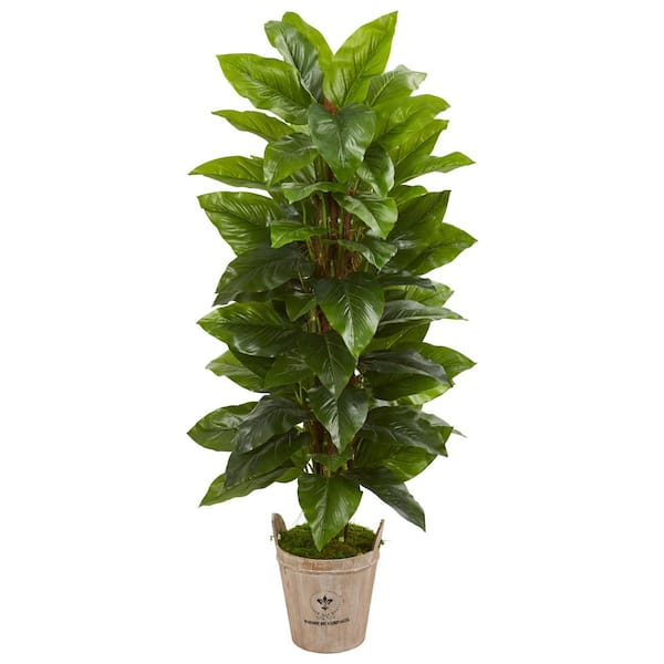 Have A Question About Nearly Natural Indoor 63 In Large Leaf Philodendron Artificial Plant Farmhouse Planter Pg 1 The Home Depot - Fake Plants Decor Home Depot
