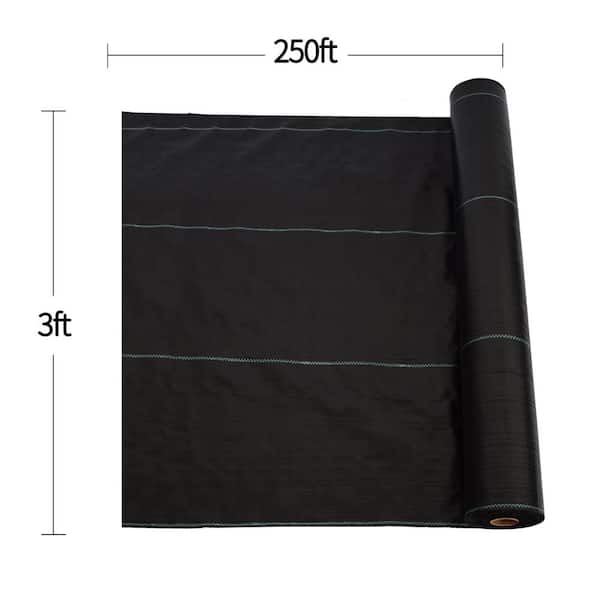 Cesicia 3 ft. x 250 ft. Dual-Layer Heavy-Duty Landscape Fabric for Orchard Weed Control
