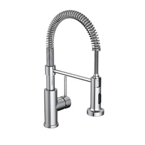 Cartway Single-Handle Spring Non Pull-Down Sprayer Kitchen Faucet in Chrome