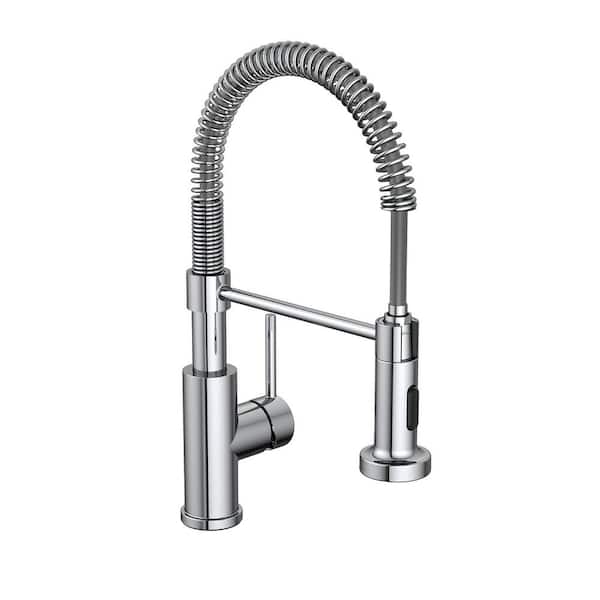 PRIVATE BRAND UNBRANDED Cartway Single-Handle Spring Non Pull-Down Sprayer Kitchen Faucet in Chrome