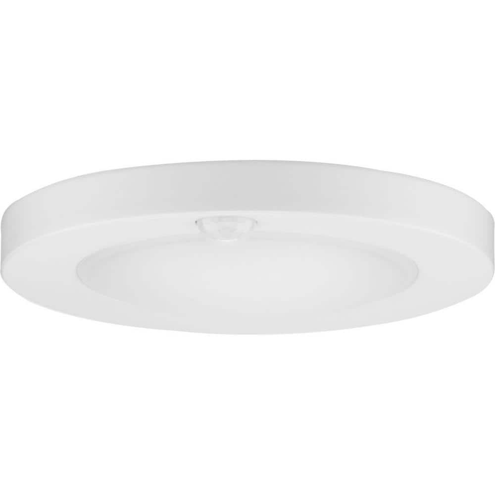 White LED Indoor/Outdoor Drum Flush Mount Light