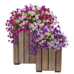 2-Piece Acacia Wood Square Planter Boxes with Plastic Liners - Vertical Plank - Anthracite Stain