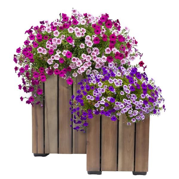 Sunnydaze 2-Piece Acacia Wood Square Planter Boxes with Plastic Liners - Vertical Plank - Anthracite Stain