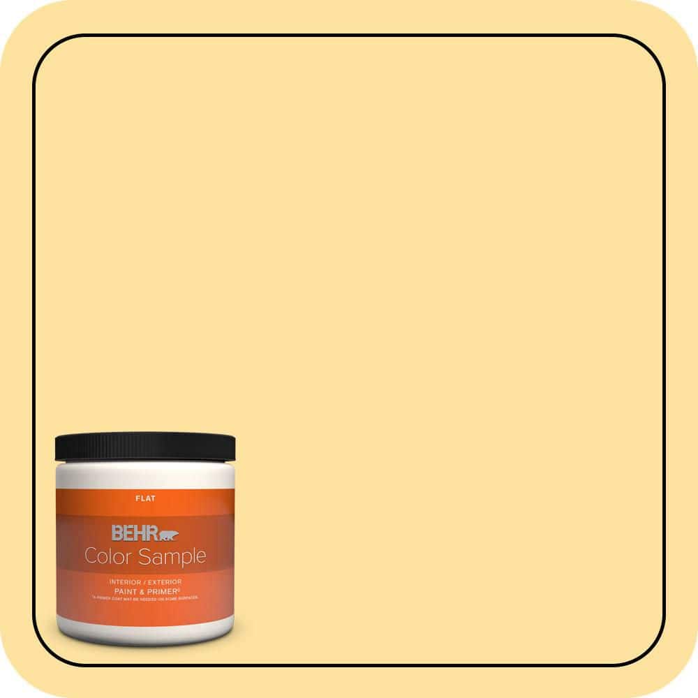 8 oz. #P280-3 Polka Dot Skirt Flat Interior/Exterior Paint & Primer Color Sample price history on PriceWatchPro