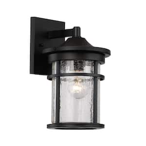 Avalon 11 in. 1-Light Black Outdoor Wall Light Fixture with Clear Crackled Glass