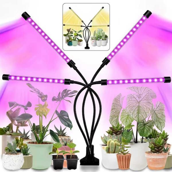 BeamBox 4-Pack LED Grow Light for Indoor Plants, Full Spectrum