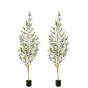 72 in. Olive Artificial Tree in Black Pot (2 Pack)