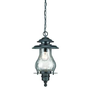 Blue Ridge Collection 1-Light Matte Black Outdoor Hanging Lantern