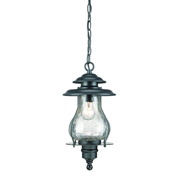 Acclaim Lighting Blue Ridge Collection 1-Light Matte Black Outdoor Hanging Lantern