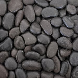 3/4 in. to 1.5 in. Polished Black Pebbles (20 lbs. Bag)