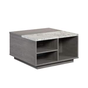 East Rock 31.181 in. Ashen Oak Square Composite Coffee Table with Lift-Top and Open Shelving