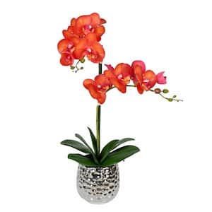20.5 in. Orange Artificial Phalaenopsis Orchid Floral Arrangement in Pot