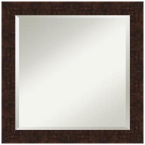 William Mottled Bronze Narrow 24 in. H x 24 in. W Framed Wall Mirror