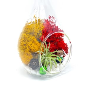 DIY Christmas Ornament Terrarium Kit, 5 in. Glass Teardrop, Reindeer Moss, Christmas Figurines, and White Stones