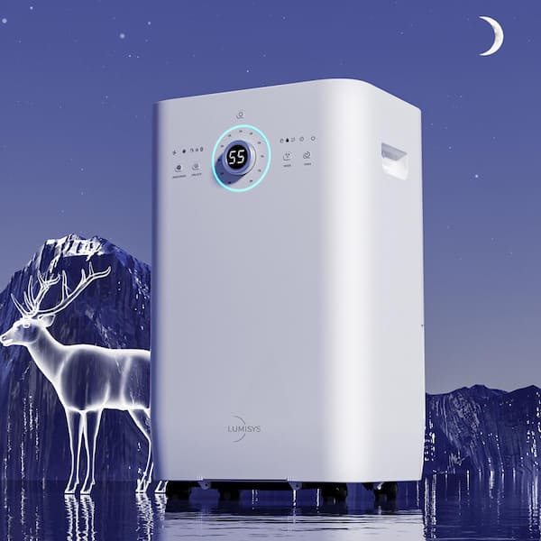 https://images.thdstatic.com/productImages/3228a7df-b856-47df-8056-ebef96c698cc/svn/whites-elexnux-dehumidifiers-zjolwbry07-e1_600.jpg