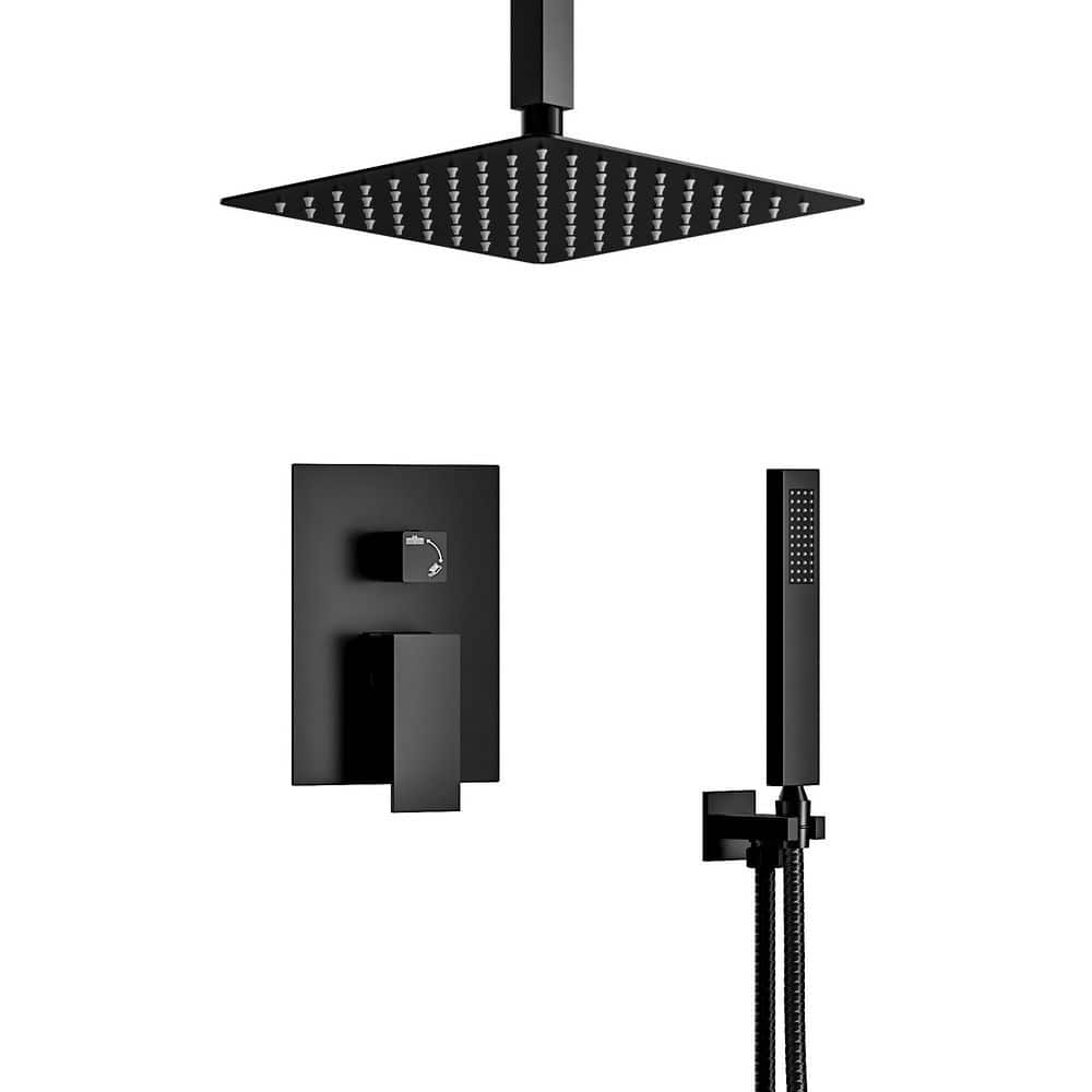 2-Spray 10 in. Square Ceiling Mount Dual Fixed and Handheld Shower Head 2.5 GPM in Matte Black (Valve Included) price history on PriceWatchPro