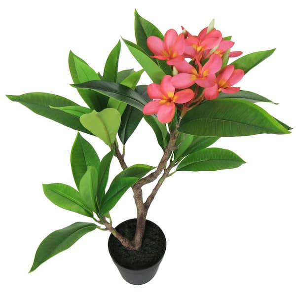 2 . 2 5 ft. Real Touch Tropical Artificial Plumeria Tree in Pot