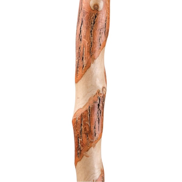 Brazos 34 Twisted Oak or Ash Derby Walking Cane, Red