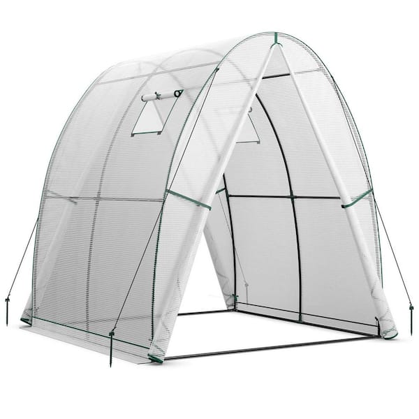 Costway 6 ft. x 6 ft. x 6.6 ft. White Portable Greenhouse with 2 Zippered Doors 2 Roll-Up Screen Windows