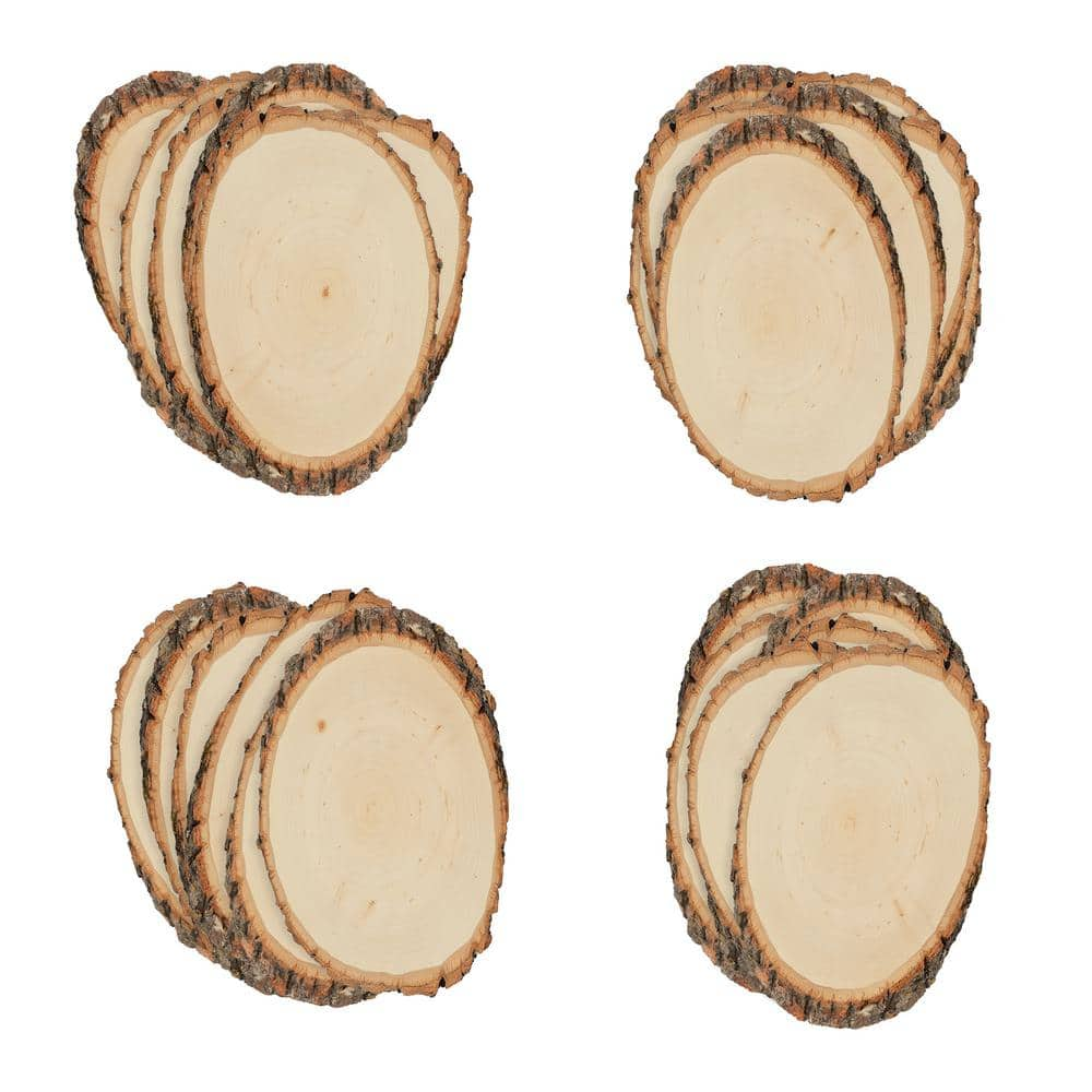 Walnut Hollow 1 in. x 6 in. x 6 in. Basswood Small Round Live Edge Project Panel (24-pack)