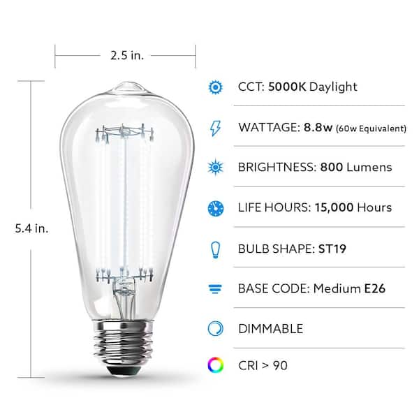 60W Equivalent ST19 CEC Dimmable Straight Filament Clear Glass E26 Vintage Edison LED Light Bulb Daylight 5000K (2-Pack)