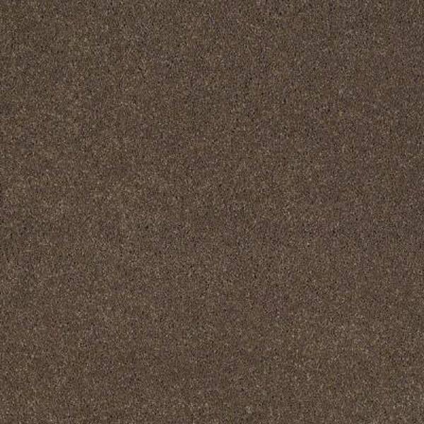 SoftSpring Carpet Sample - Tremendous I - Color Tapestry Texture 8 in. x 8 in.