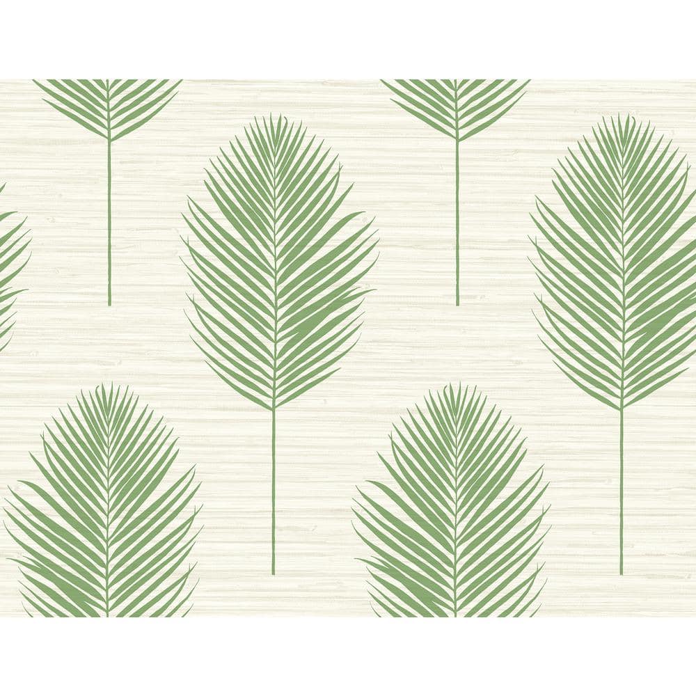 Bali Green Fern Vinyl Non-Pasted Textured Repositionable Wallpaper price history on PriceWatchPro