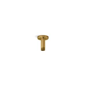 Statement 3 in. Ceiling Mount Rainhead Arm and Flange in Vibrant Brushed Moderne Brass