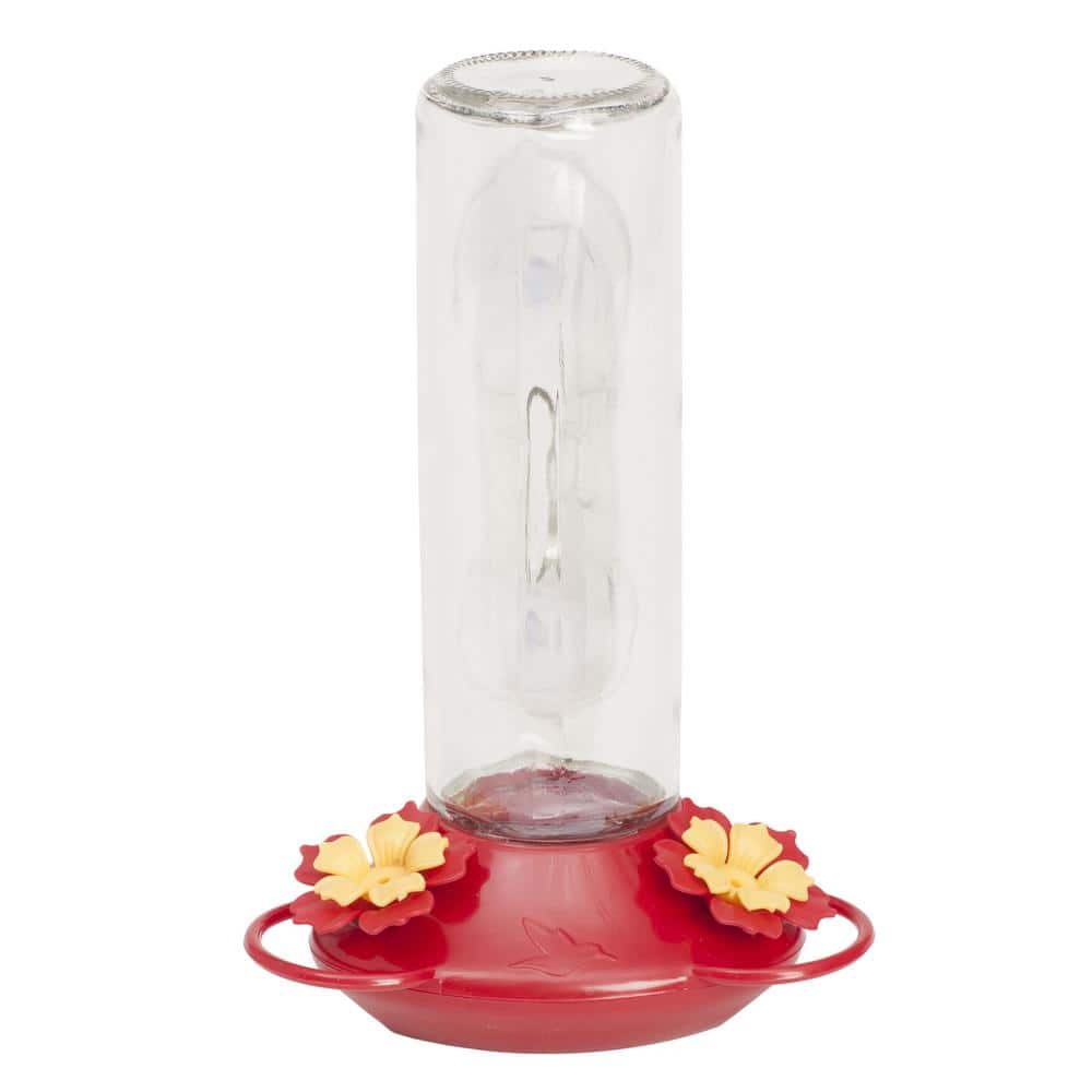 Perky-Pet Clear Window Bird Feeder with 4 Suction Cups- 1 lb. Capacity 347  - The Home Depot