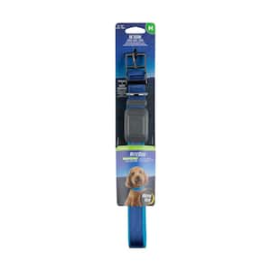 NiteDog - M - Blue/Blue Rechargeable LED Collar