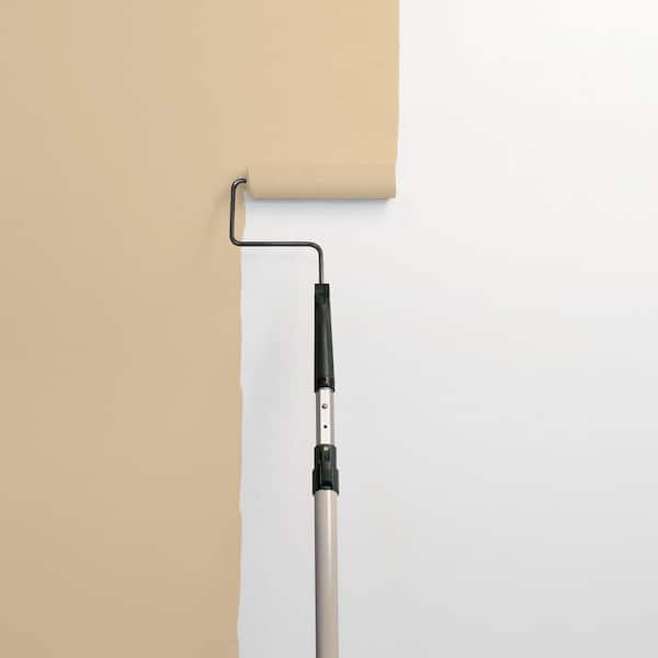 Pony Tail PPG1086-4 Paint