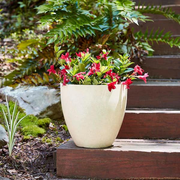  Outdoor Indoor Garden Plant Pots Potted Pot Ceramic Flower Pot  Courtyard Balcony Large Flower Pot Extra-Large Tree Flower Pot with  Drainage Hole Flower Pot (Color : B, Size : Large) 