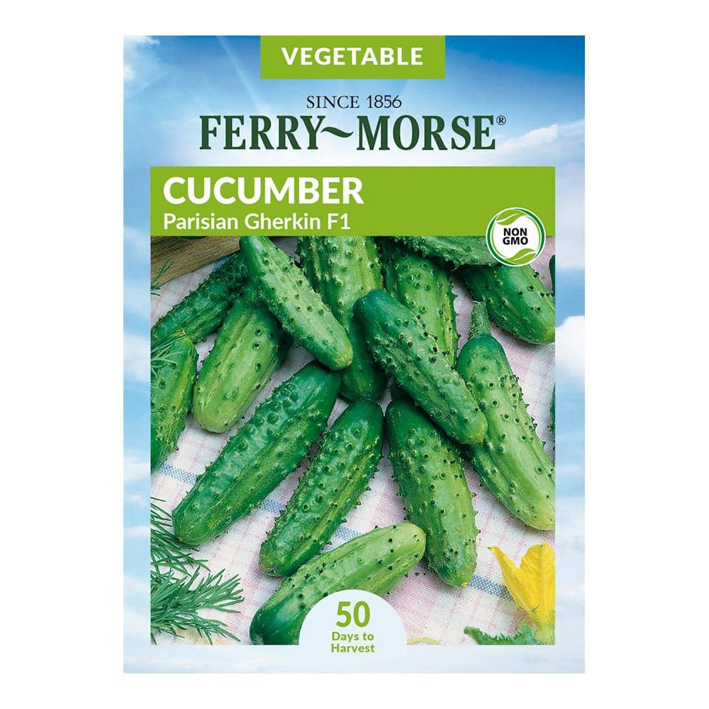 Ferry-Morse Cucumber Parisian Gherkin F1 Fruit Seeds 9742 - The