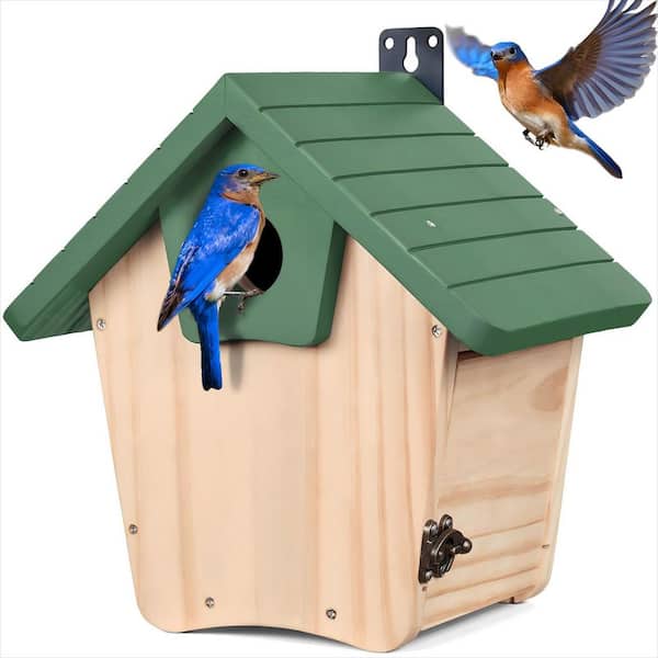 Cedar Wood Nesting Box with Clear View Panel and Predator Guard for Bluebird, Wren, Cardinal and Swallow, Green