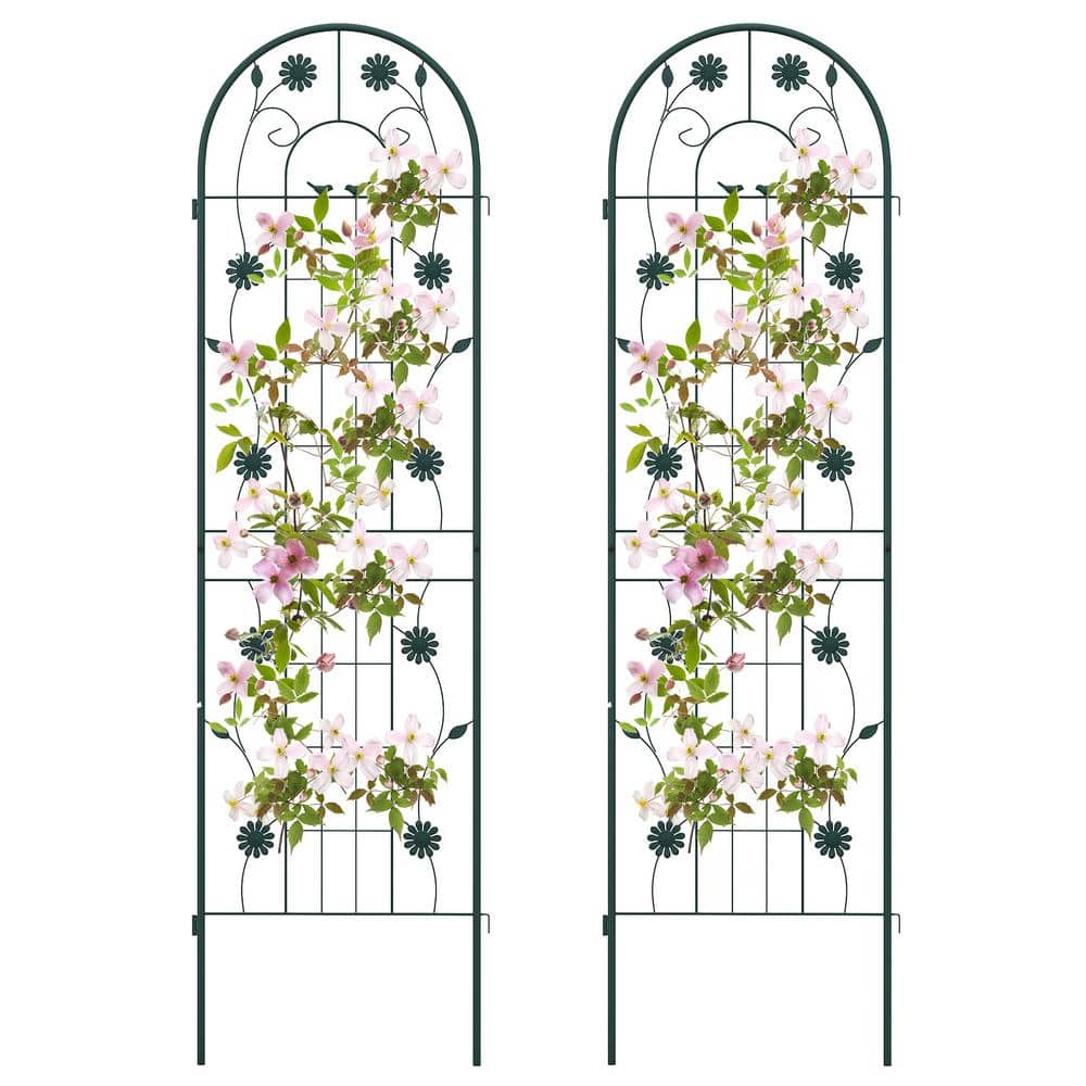 71 in. x 20 in. Green Metal Arch Garden Trellis Decorative for Climbing Pla
