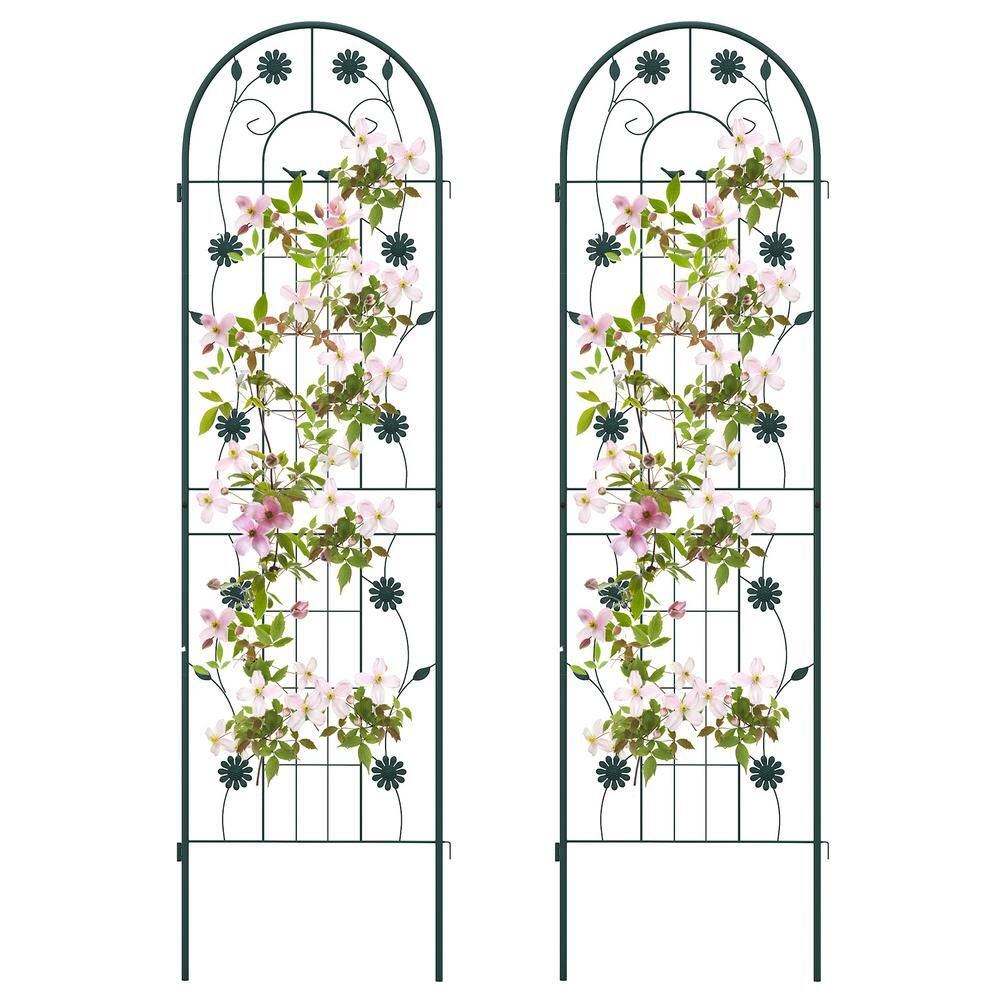 71 in. x 20 in. Green Metal Arch Garden Trellis Decorative for Climbing Plants (2-Pack) price history on PriceWatchPro