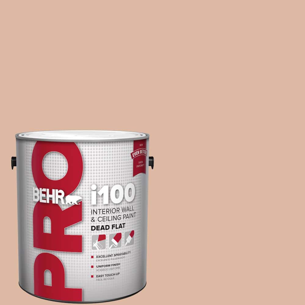 1 gal. #ECC-60-1 Coral Bay Dead Flat Interior Paint price history on PriceWatchPro