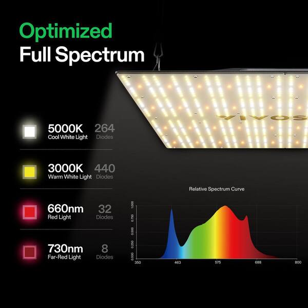 「Light Mellow Sunshine」 Sunshine Radiance™ Bouquet | Bright Yellow Blooms | 1800Flowers