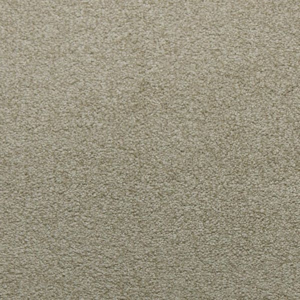 Home Decorators Collection Sweet Dreams I - Peace - Beige 48 oz. SD Polyester Texture Installed Carpet