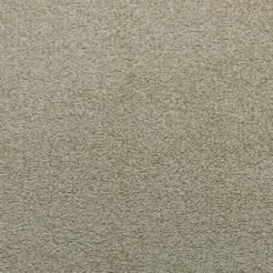 Sweet Dreams II - Peace - Beige 68 oz. SD Polyester Texture Installed Carpet