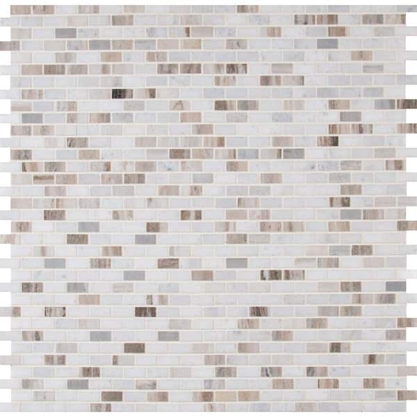 MSI Palisandro 12 in. x 12 in. Polished Marble Look Floor and Wall Tile (10 sq. ft./Case)