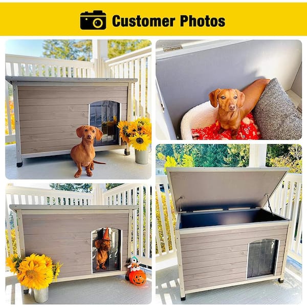 Insulated Dog House – WoodBin