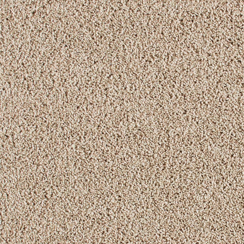 8 in. x 8 in. Texture Carpet Sample - Huntcliff II -Color Tawny Tan price history on PriceWatchPro