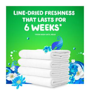 Flings HE Blissful Breeze Scent Liquid Laundry Detergent Pods (112-Count)