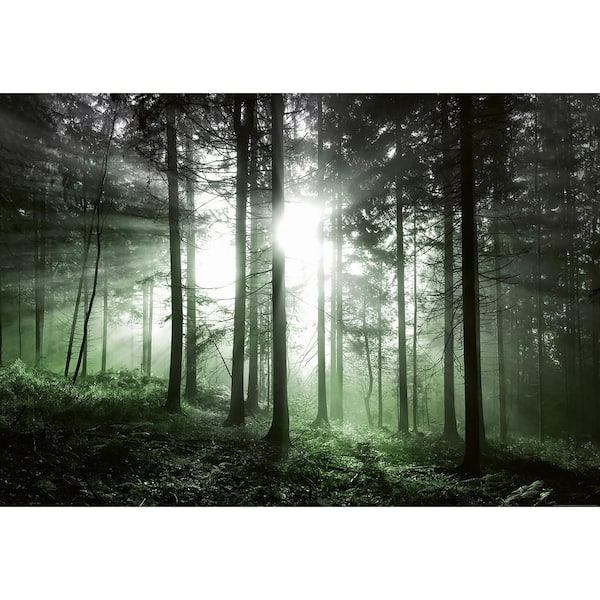Ideal Decor Sun Rays Wall Mural